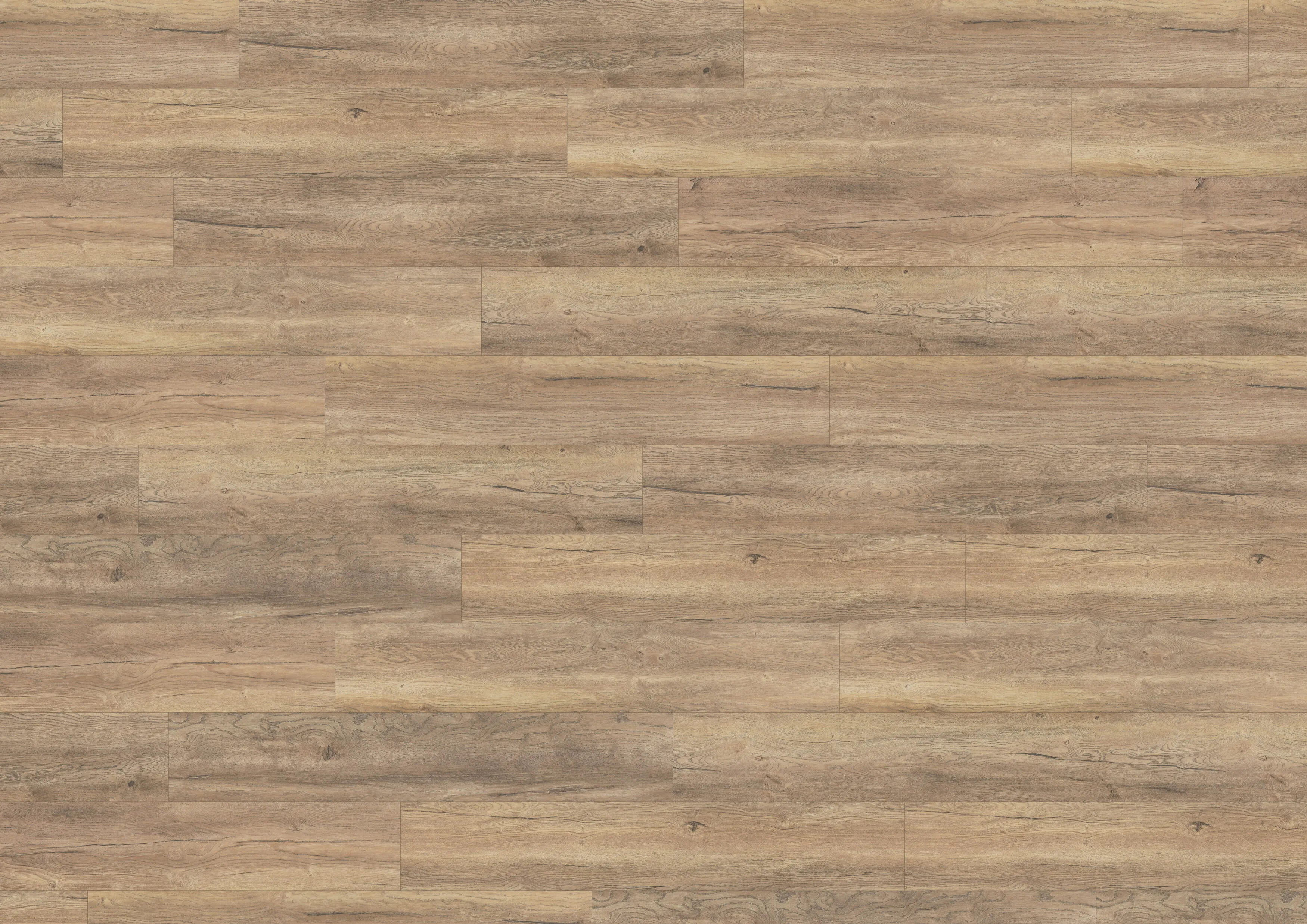 Spain Oak Beigebrown